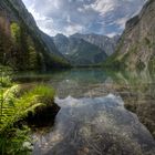 Obersee