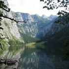 Obersee