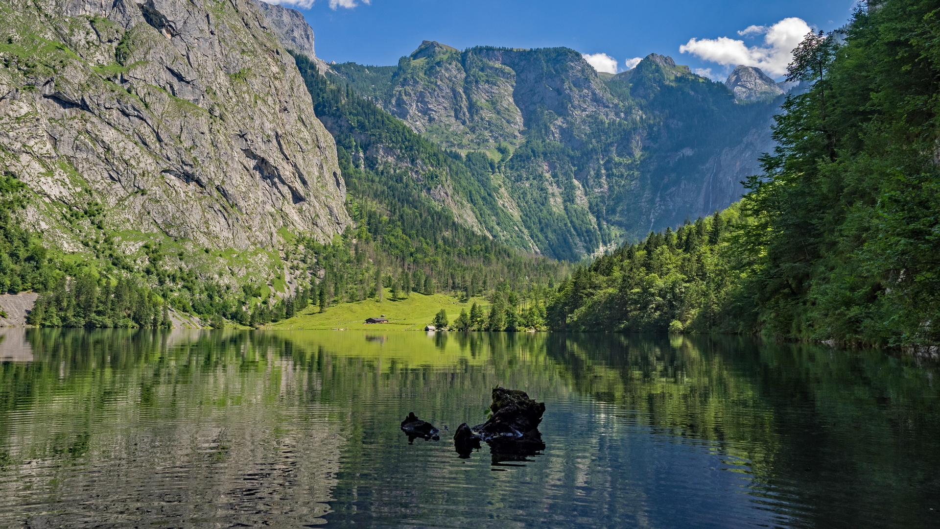 Obersee