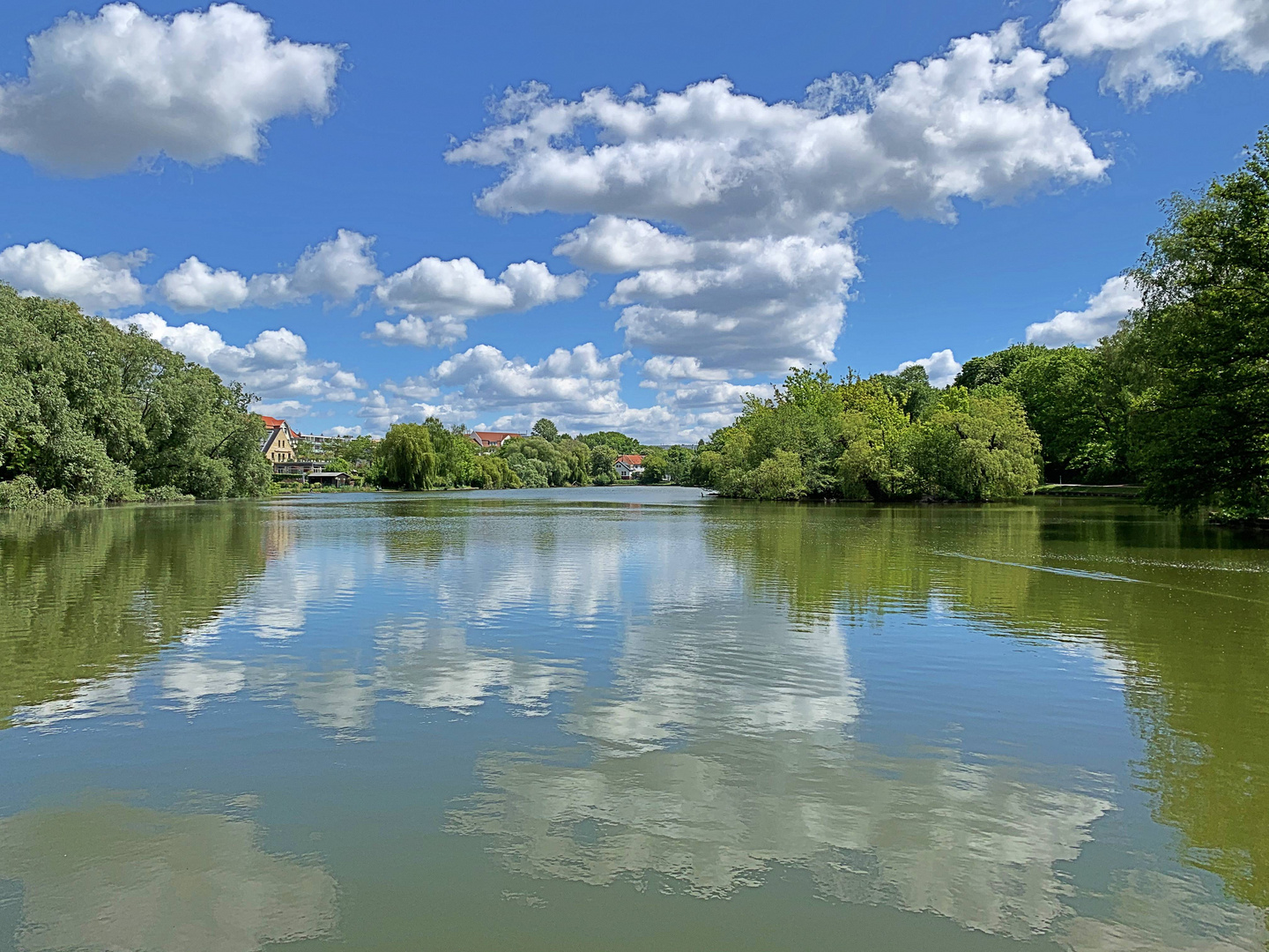 Obersee Frühling 2020