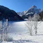 Obersee GL