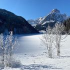 Obersee GL