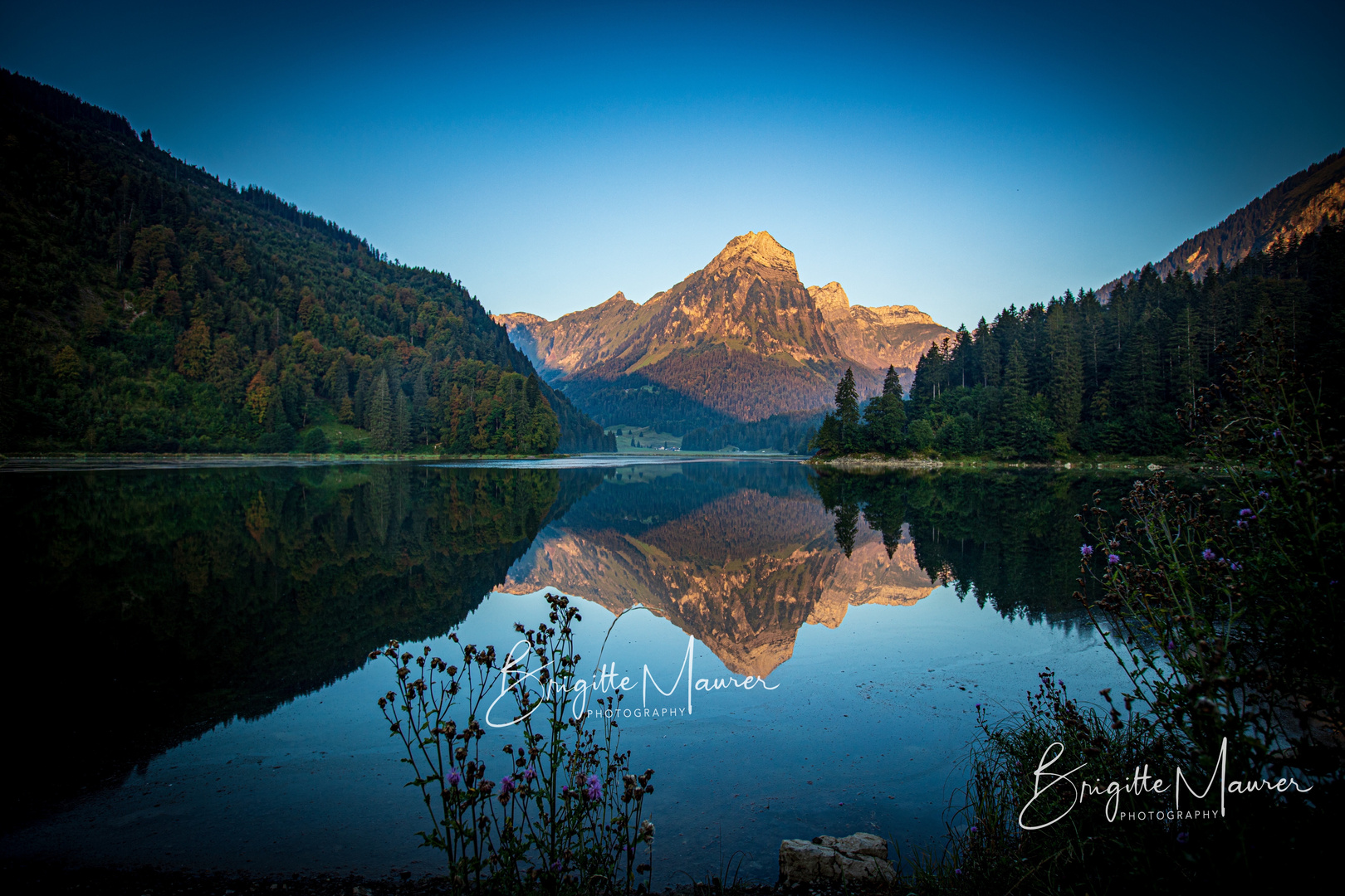 Obersee GL