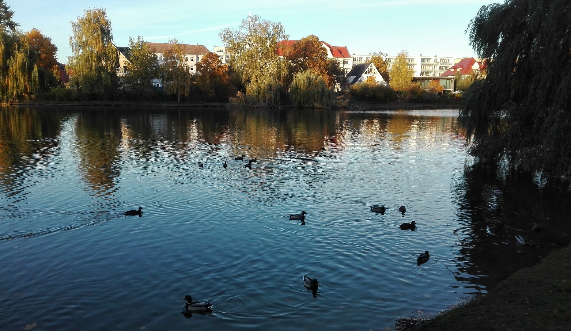 Obersee herbstlich III