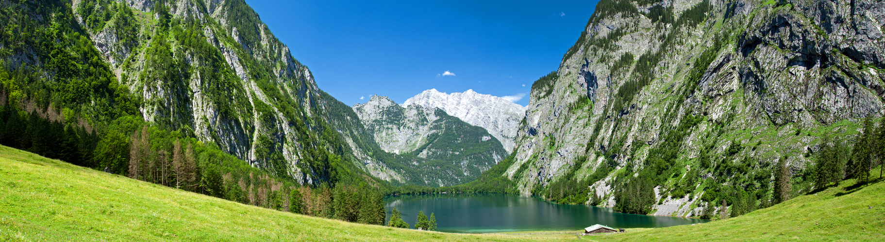 Obersee (IV)