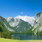 Obersee (IV)