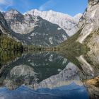 Obersee IV