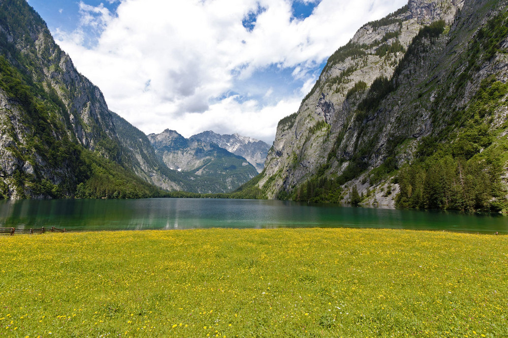 Obersee IV