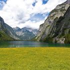 Obersee IV