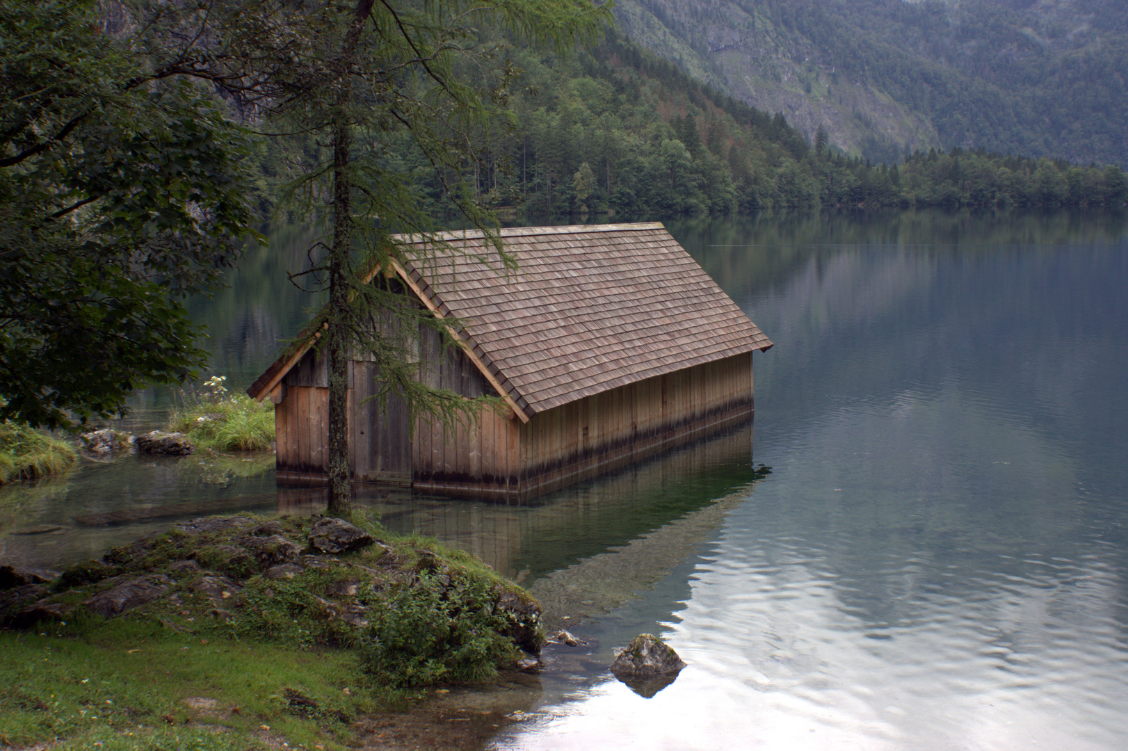 Obersee IV