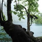 Obersee / Königssee