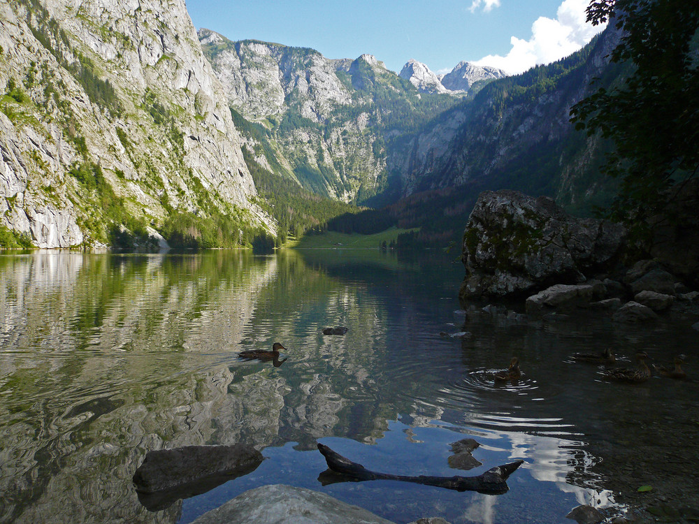 Obersee (Königssee) Foto & Bild landschaft, berge, natur Bilder auf