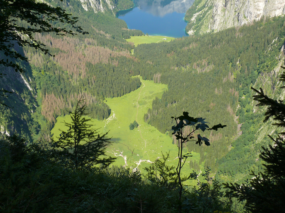 Obersee mit Alm vom Röthsteig aus fotografiert