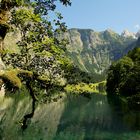 Obersee oberschön :-)