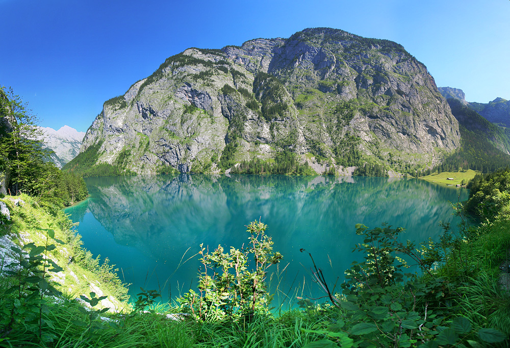 Obersee Panorama