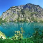 Obersee Panorama