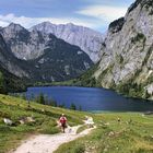 Obersee Panorama