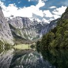 Obersee Reflexion