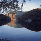 Obersee, Spätherbst 2015