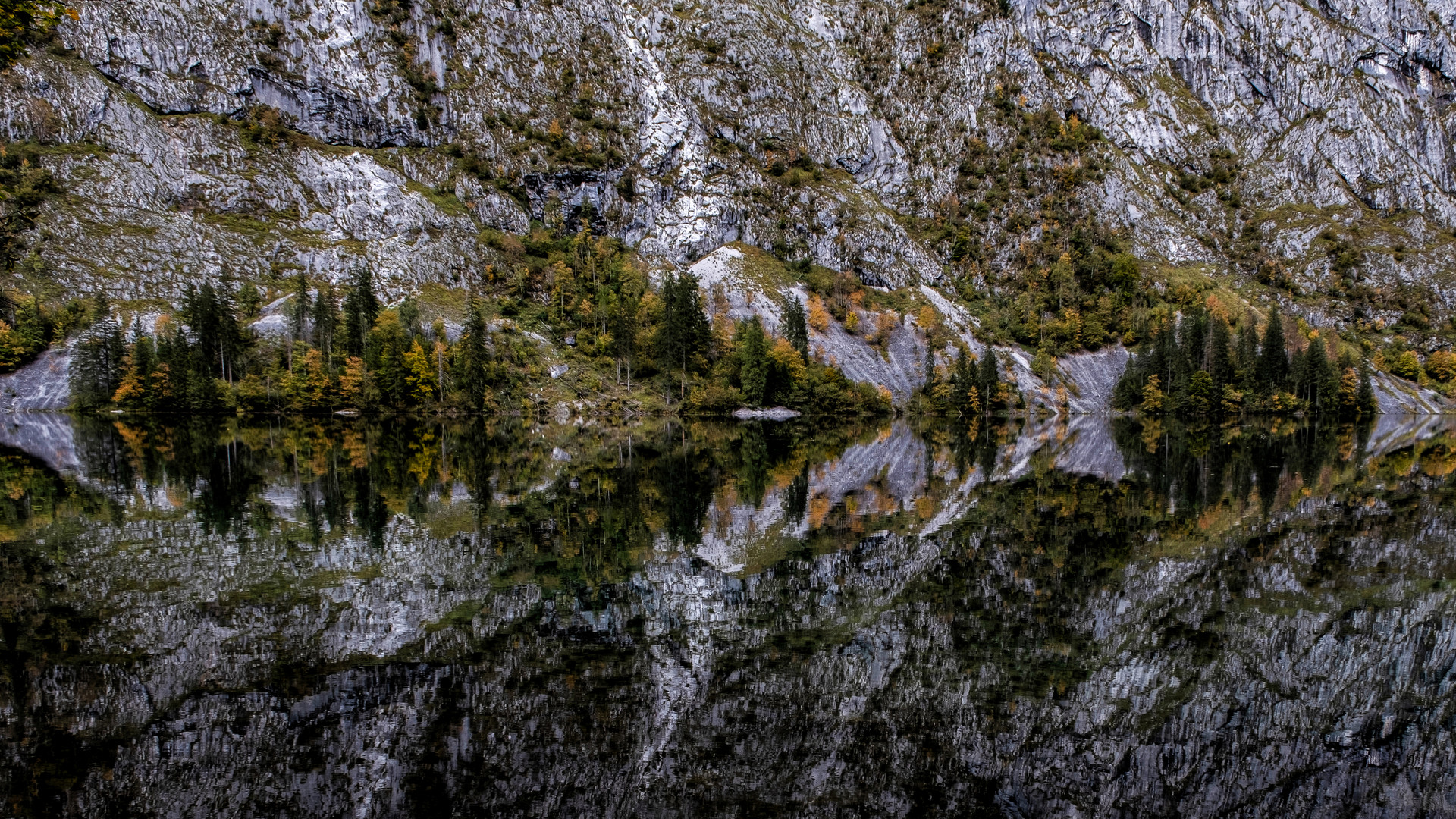 Obersee Spiegelung