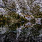 Obersee Spiegelung