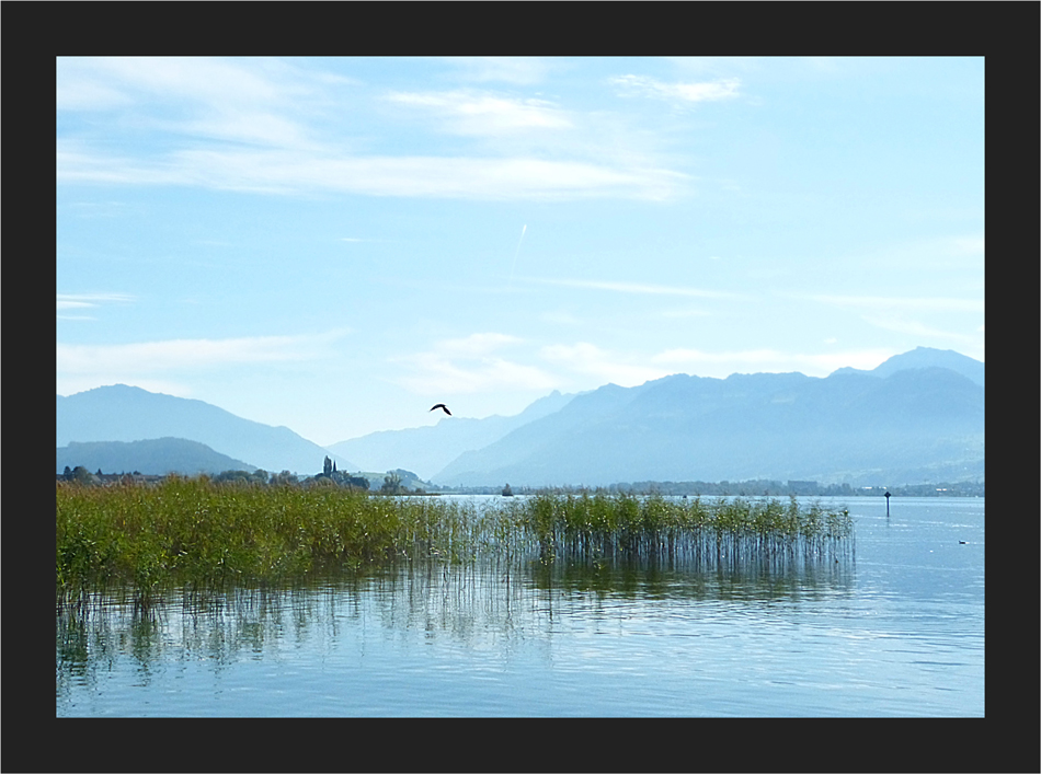 Obersee - Stimmung