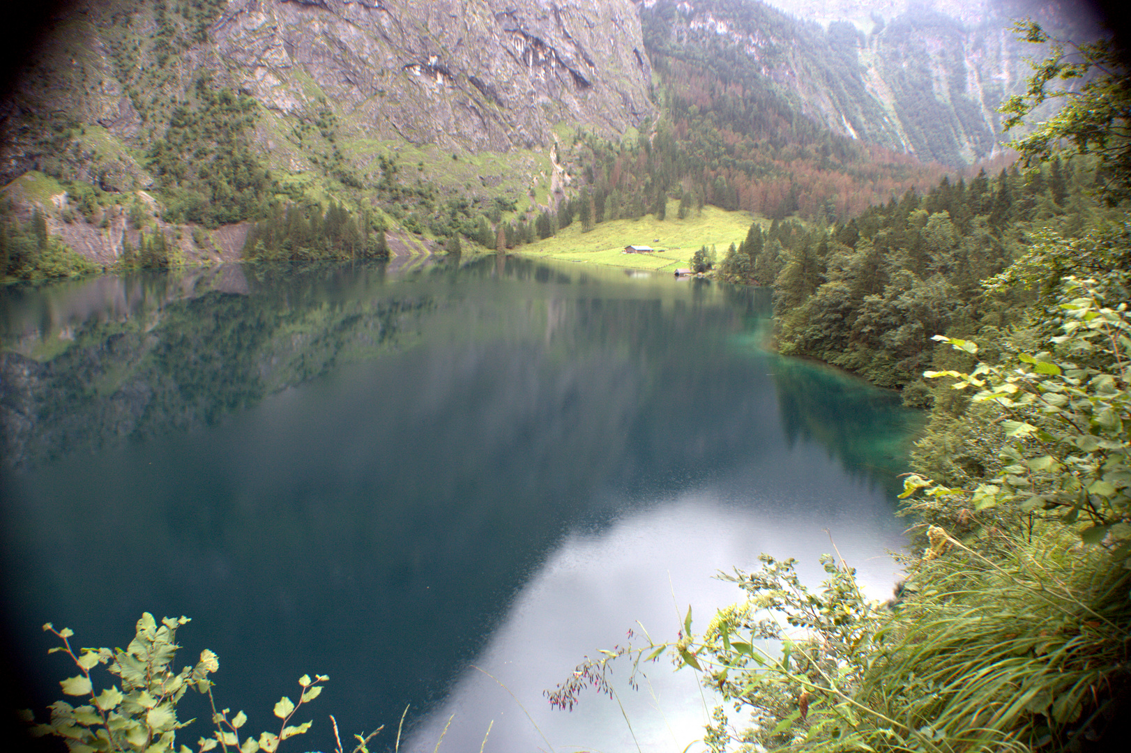 Obersee V