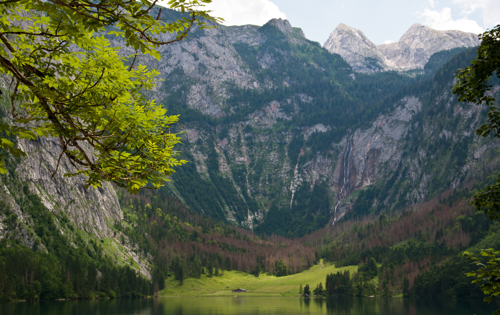 Obersee (VI)