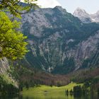 Obersee (VI)