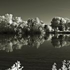 Obersee, Wasserspiegelungen