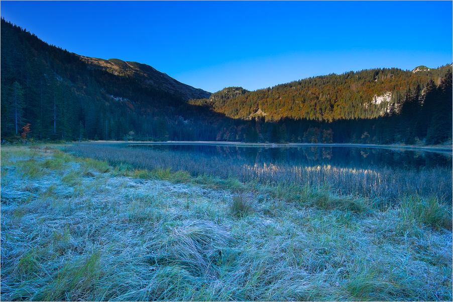 Obersee Wildnisgebiet Dürrenstein