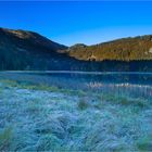 Obersee Wildnisgebiet Dürrenstein