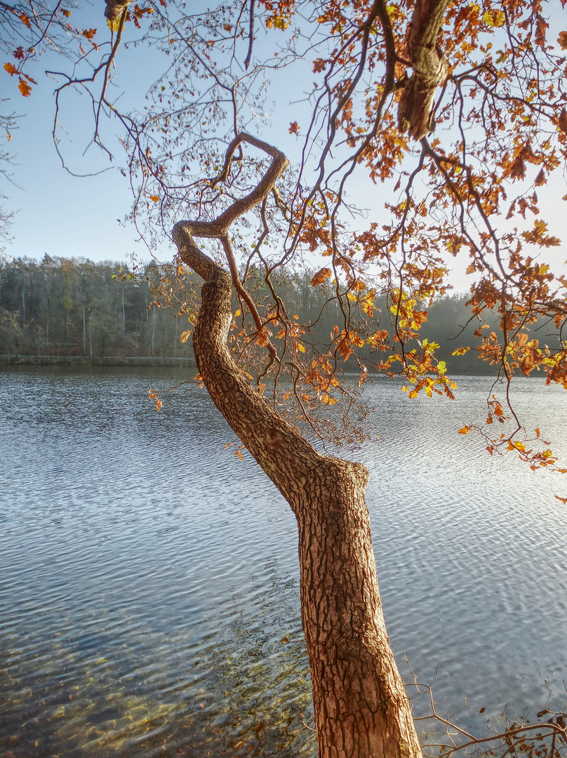 Obersee#4