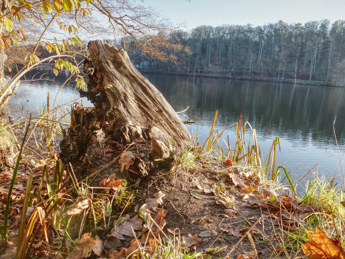 Obersee#6