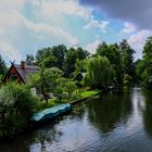 Oberspreewald bei Lübbenau Leipe