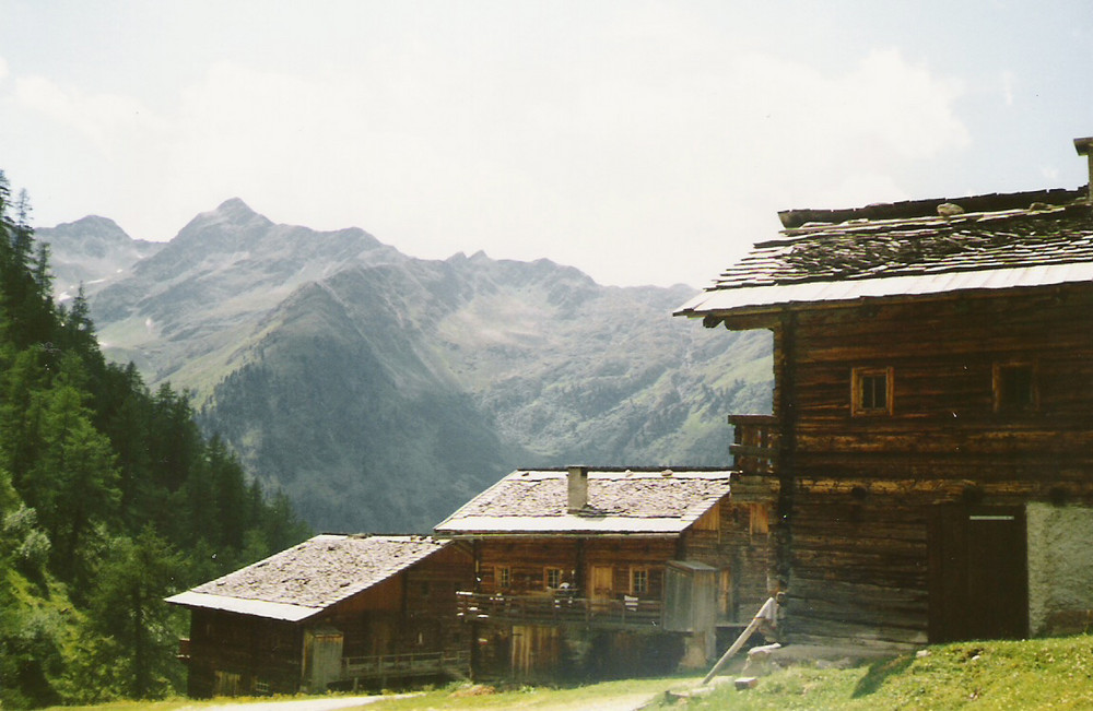 Oberstalleralm II Villgratental 1986