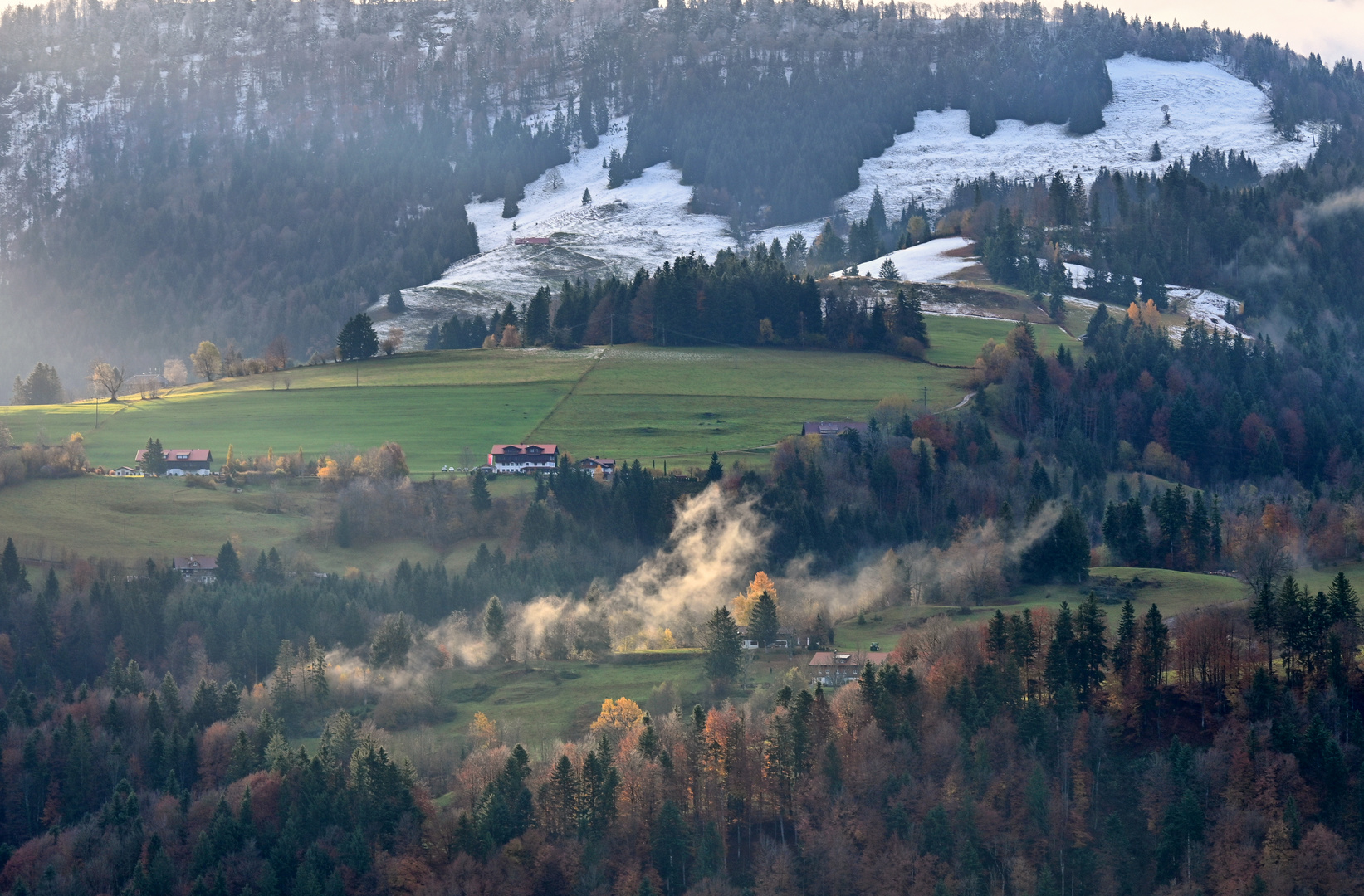 Oberstaufen Nebel