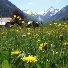 Oberstdorf