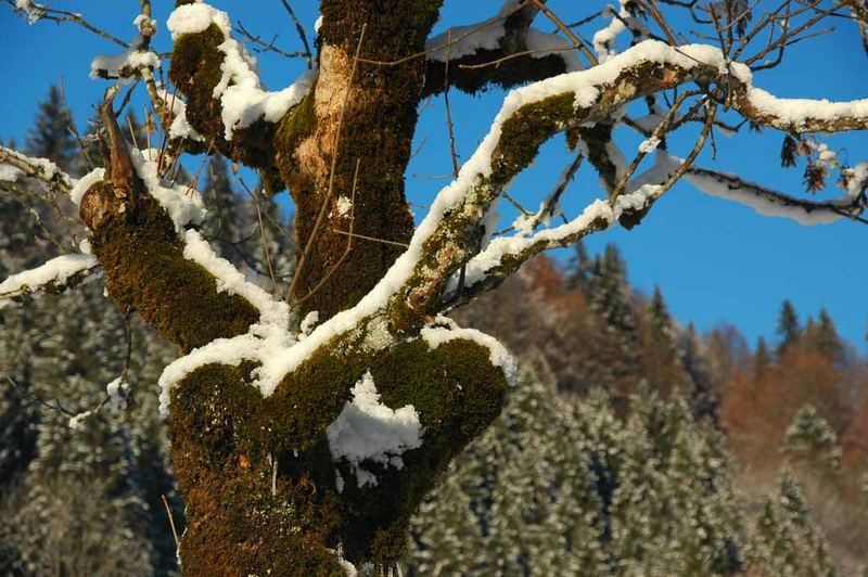 Oberstdorf - Allgäu - Bild 3