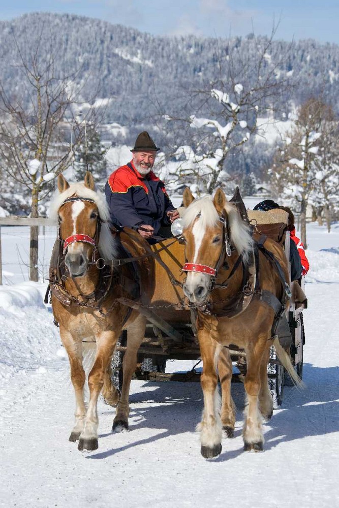 Oberstdorf, Stillachtal, Kutschfahrt