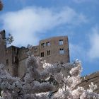 Obersteiner Schloss im Frühling 2