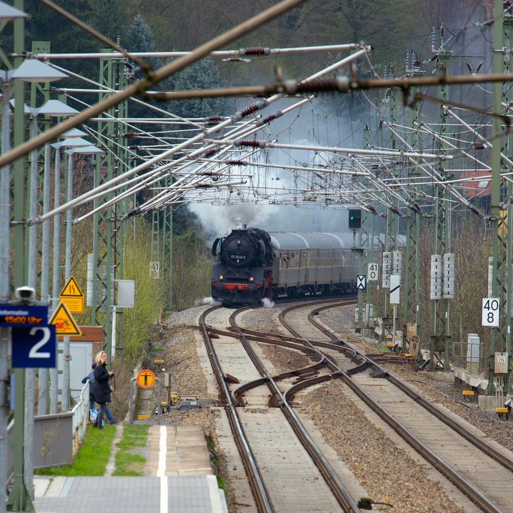 Obervogelgesang Sächsische Schweiz