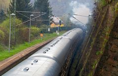 Obervogelgesang Sächsische Schweiz