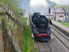 Obervogelgesang Sächsische Schweiz