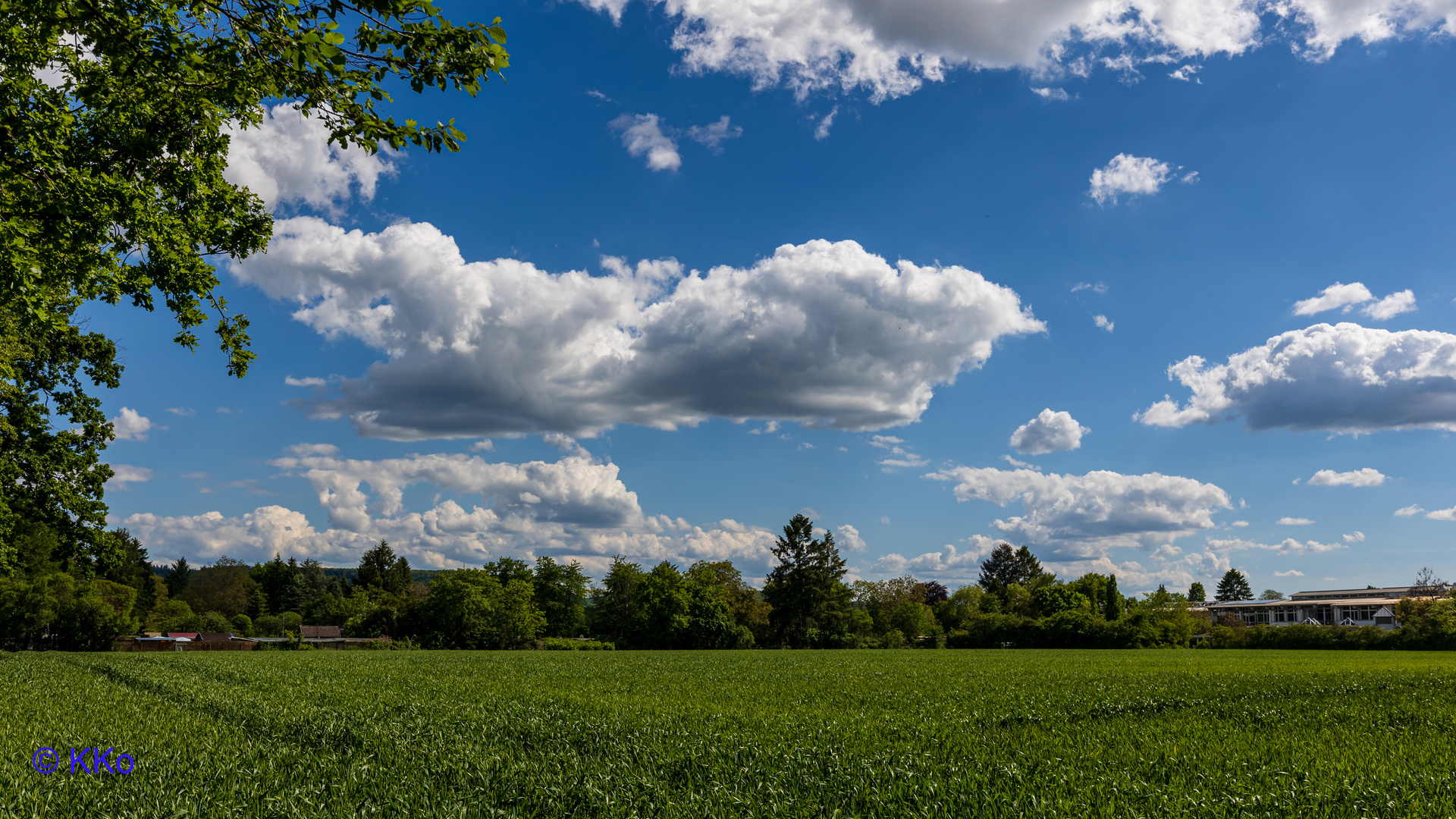 Oberwald