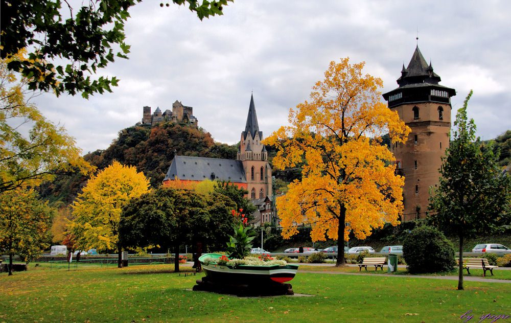 Oberwesel im Herbst