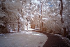 Oberwiesenpark IR