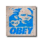 OBEY