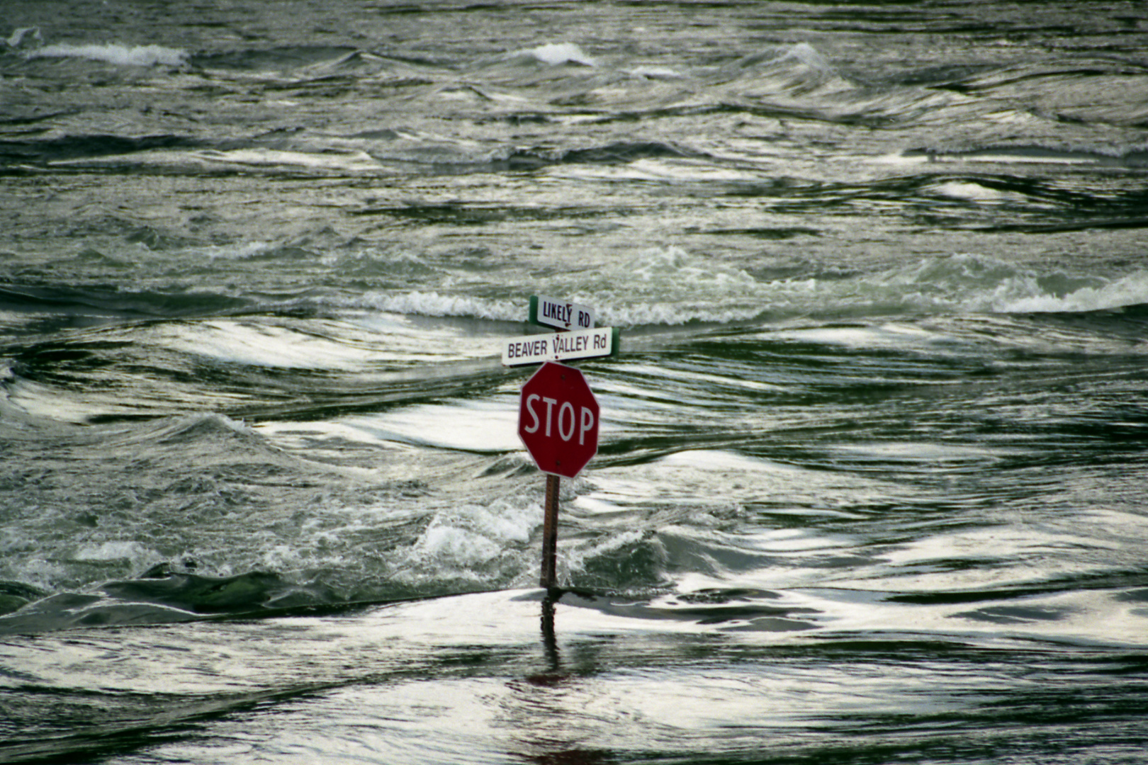 Obey Road Signs - British Columbia 1992