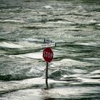 Obey Road Signs - British Columbia 1992